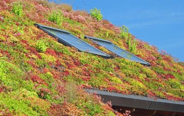 Stoke Park living roof systems