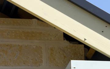 soffit repair Stoke Park